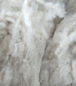 Flat Strips Cotton Waste