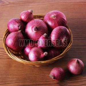 Fresh Red Onion