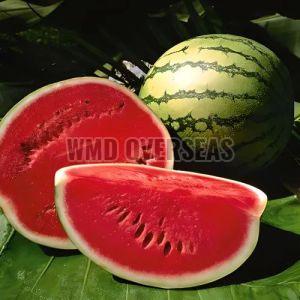 Fresh Watermelon