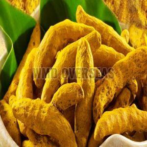 Turmeric Finger