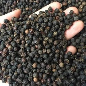 Vietnam Grade Black Pepper Seeds