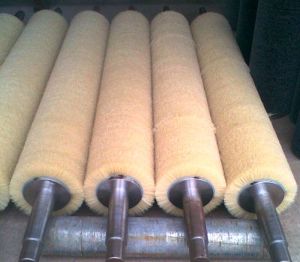 Brush Roller