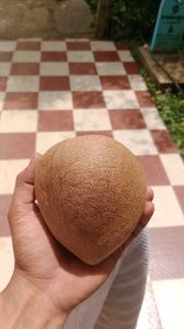 dry coconut copra