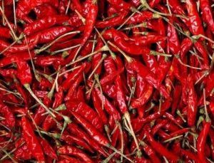 Guntur Red Chilli
