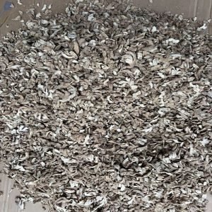 Hand Cut Conventional Dry Ginger Slice