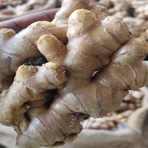 Karnataka Fresh Ginger