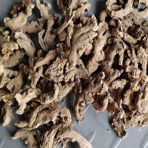 Maharashtra Conventional Dry Ginger