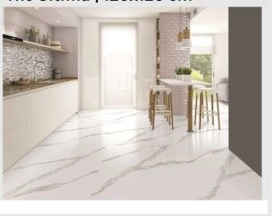 Designer Glossy Finish Ceramic Tiles