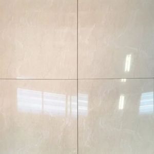 Glossy Finish Ceramic Floor Tiles