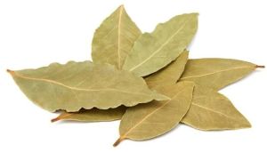 Dried Bay Leaves