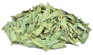 Dried Senna Leaves