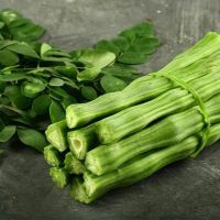 Fresh Moringa Drumstick