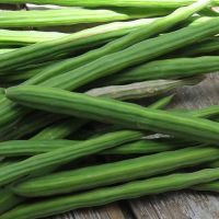 Fresh Moringa Drumstick