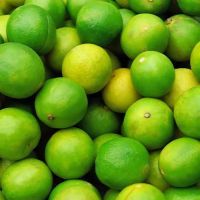 Natural Fresh Green Lemon