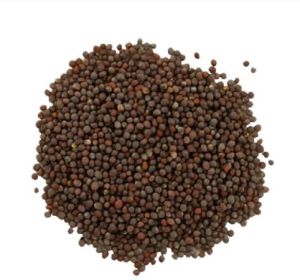 Natural Black Mustard Seeds