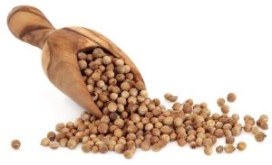 Natural Coriander Seeds