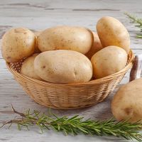 Premium Fresh Potatoes