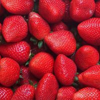 Farm Fresh Strawberry