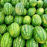 Natural Fresh Watermelon