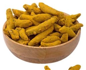 Rajapuri Turmeric Finger