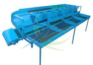 Fruit Grading Machine