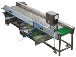 Fruit Vegetable Roller Grading Machine