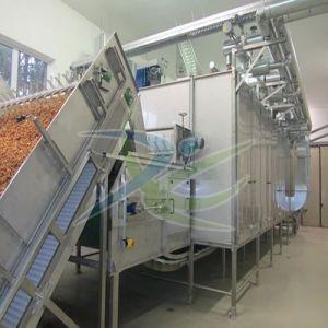 Ginger Processing Plant