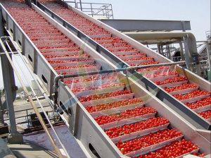 Tomato Processing Plant