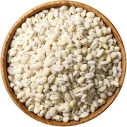 Barley Millet Seeds