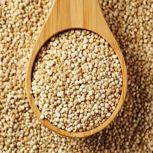 Quinoa Millet Seeds