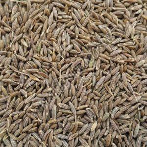 Cumin Seeds