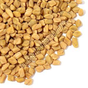 Fenugreek Seeds