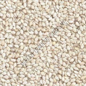 White Sesame Seeds