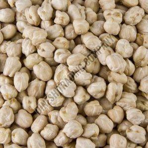 White Chickpeas