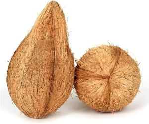 Pooja Coconut