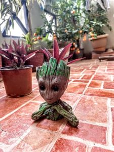 Groot Flower Pot