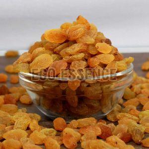 Dried Golden Raisins