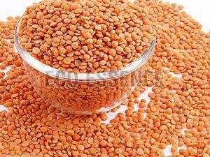 Masoor Dal
