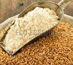 Wheat Flour