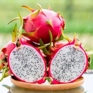 Fresh Dragon Fruit
