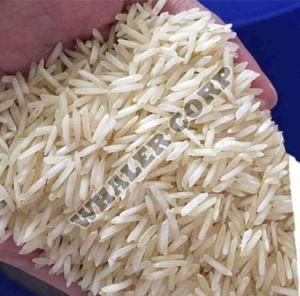 1121 Basmati Rice