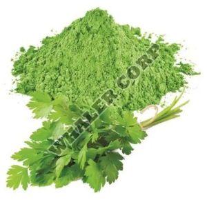 Coriander Leaves Powder