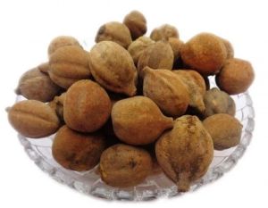 brown dry baheda fruit