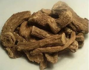 Kuth Indian Costus Root