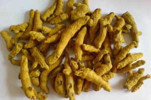 Lakadong Turmeric Fingers