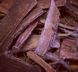 Mimosa Hostilis Root Bark Extract