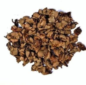 Nageshwar Dry Flower