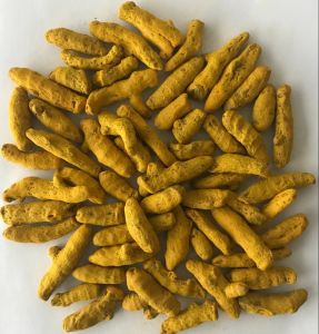 Turmeric Hybrid Finger