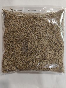 Europe Quality 99% Cumin Seeds