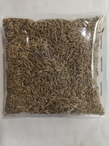 Europe Quality 99% Cumin Seeds